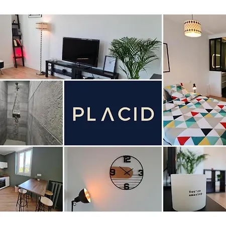 Apartment Le Scottmanhouse - Prive - Centre - Gare - Wi-fi *