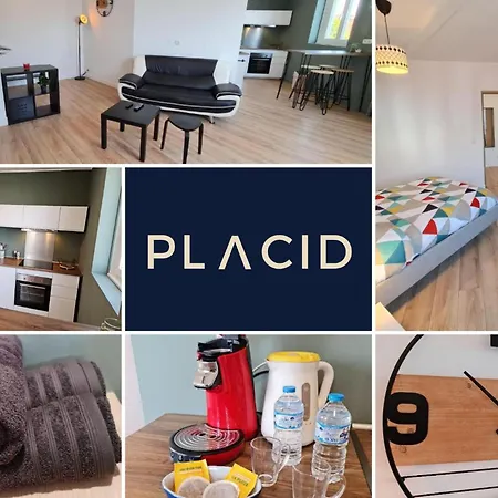Daire Le Scottmanhouse - Prive - Centre - Gare - Wi-fi